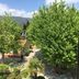 Vista esterna