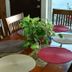 Sala pranzo