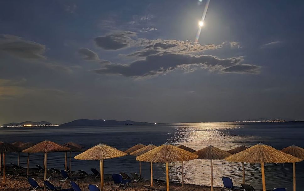 Altro Foto