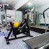 Palestra