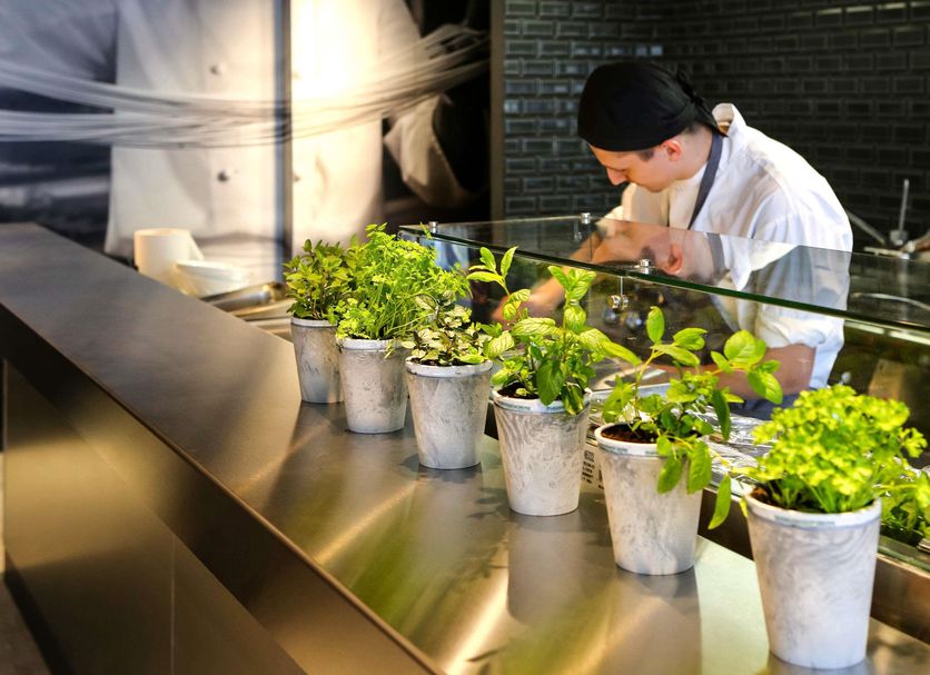 Ristorante Foto