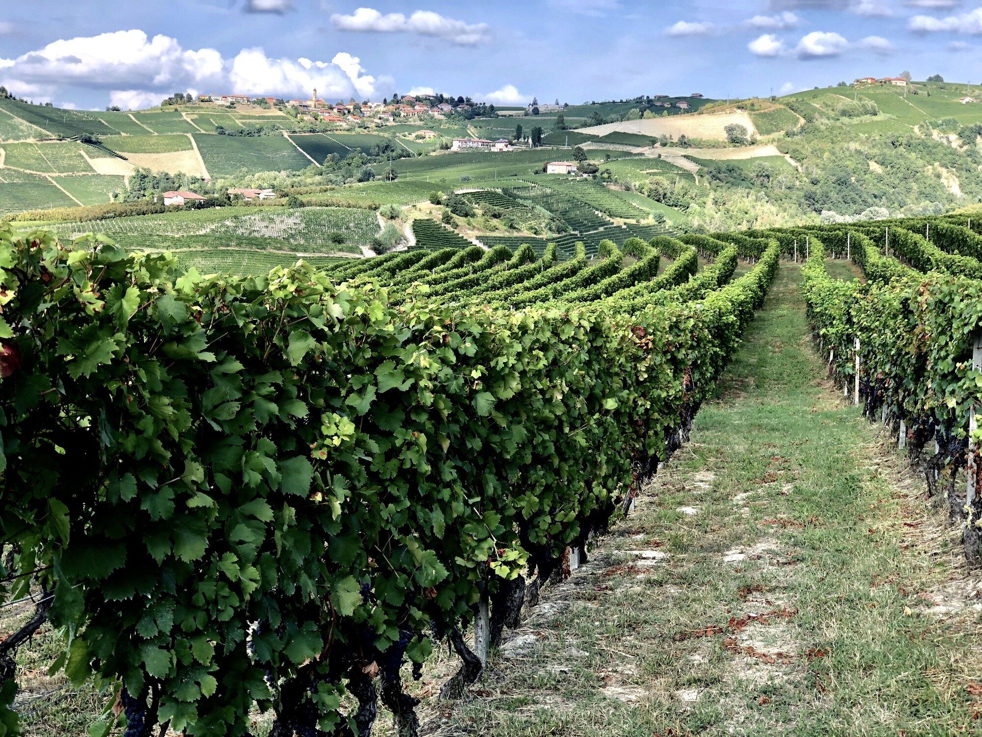 Vista esterna