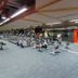 Palestra