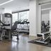 Palestra
