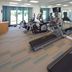 Palestra