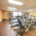 Palestra
