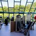 Palestra