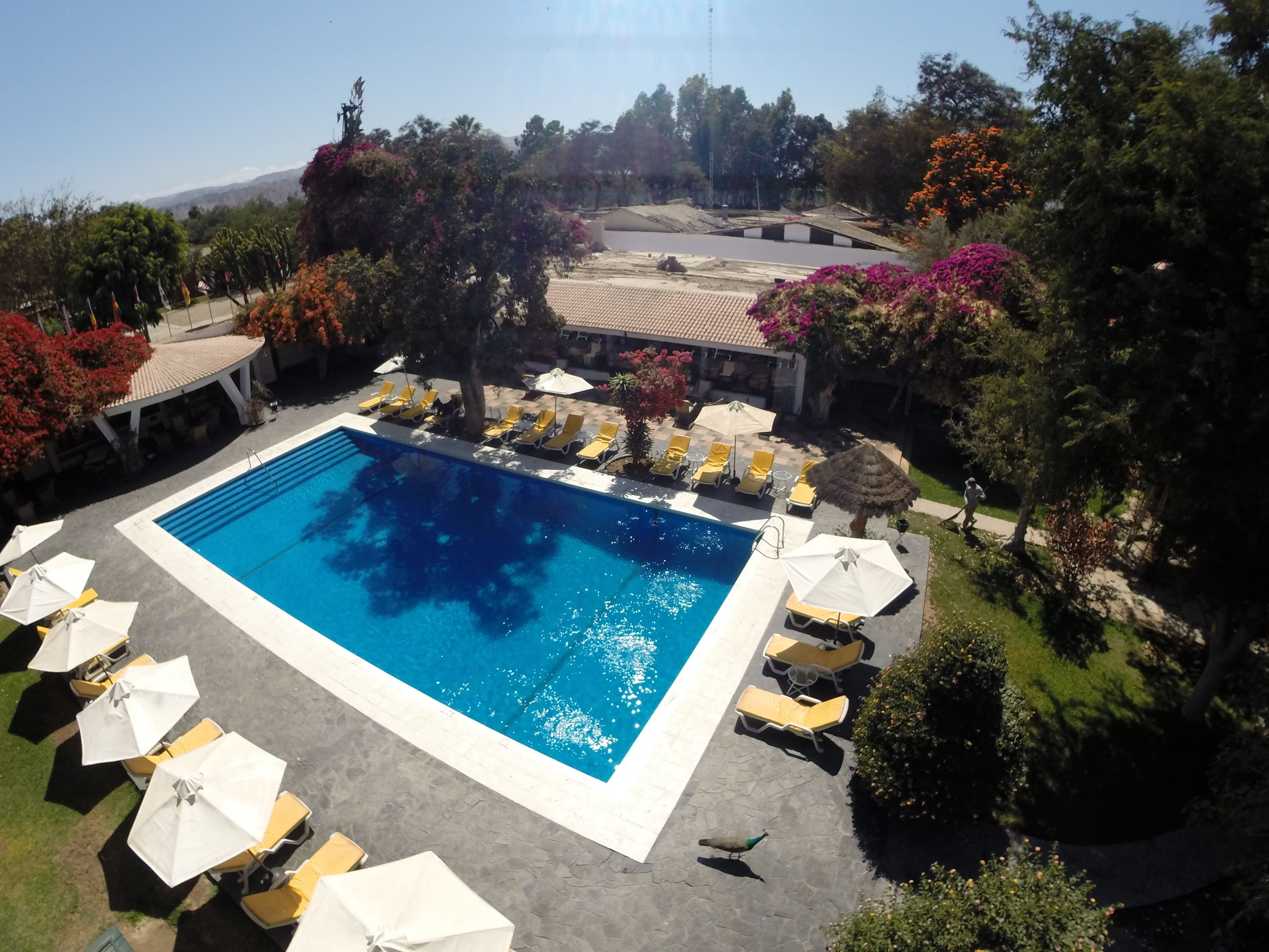 Piscina