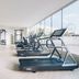 Palestra