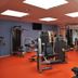 Palestra