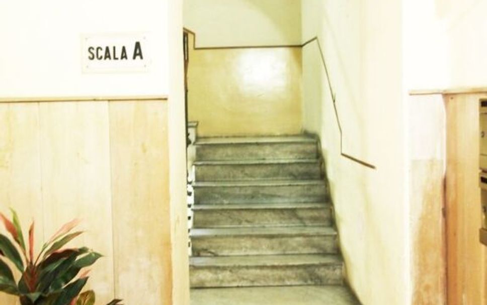 Scale Foto