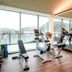 Palestra