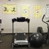 Palestra