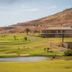 Corso di golf