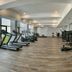 Palestra