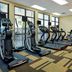 Palestra