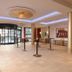 Ingresso