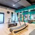 Palestra