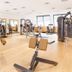 Palestra