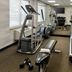Palestra
