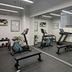 Palestra
