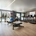 Palestra
