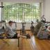 Palestra