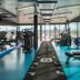 Palestra