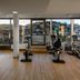 Palestra