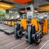 Palestra