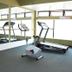 Palestra