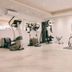 Palestra