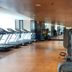 Palestra