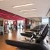 Palestra