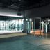 Palestra