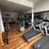 Palestra