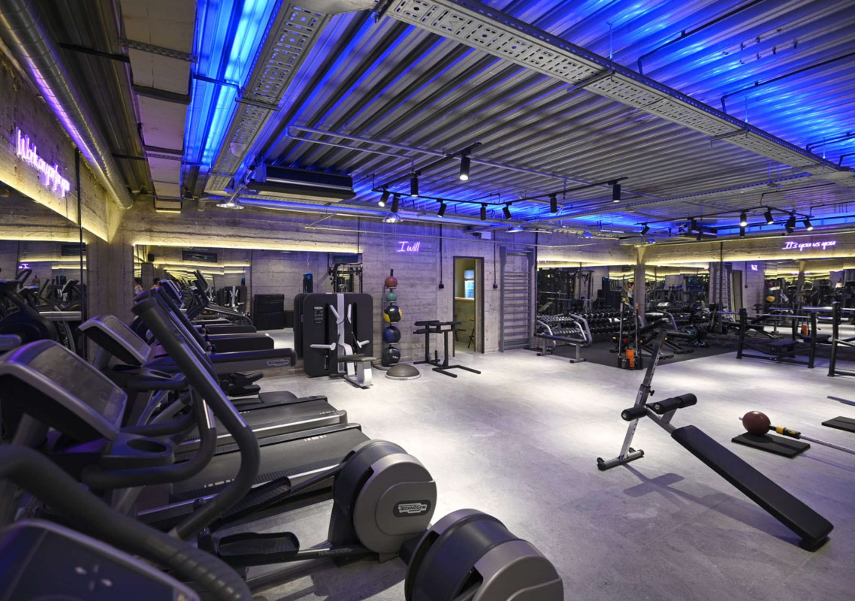 Palestra