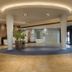Ingresso