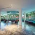 Ingresso