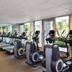 Palestra