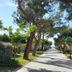 Vista esterna