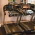 Palestra