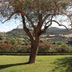Vista esterna