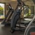 Palestra