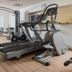 Palestra
