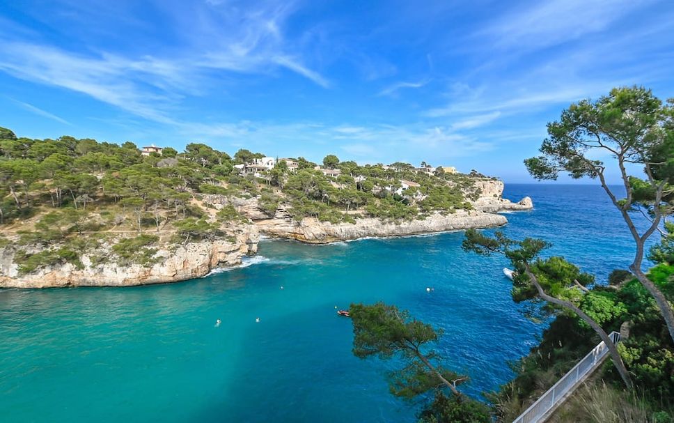 Altro Foto