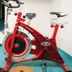 Palestra