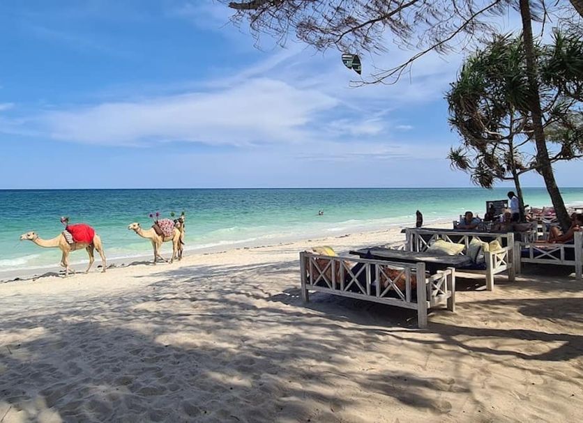 Spiaggia Foto