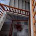 Scale
