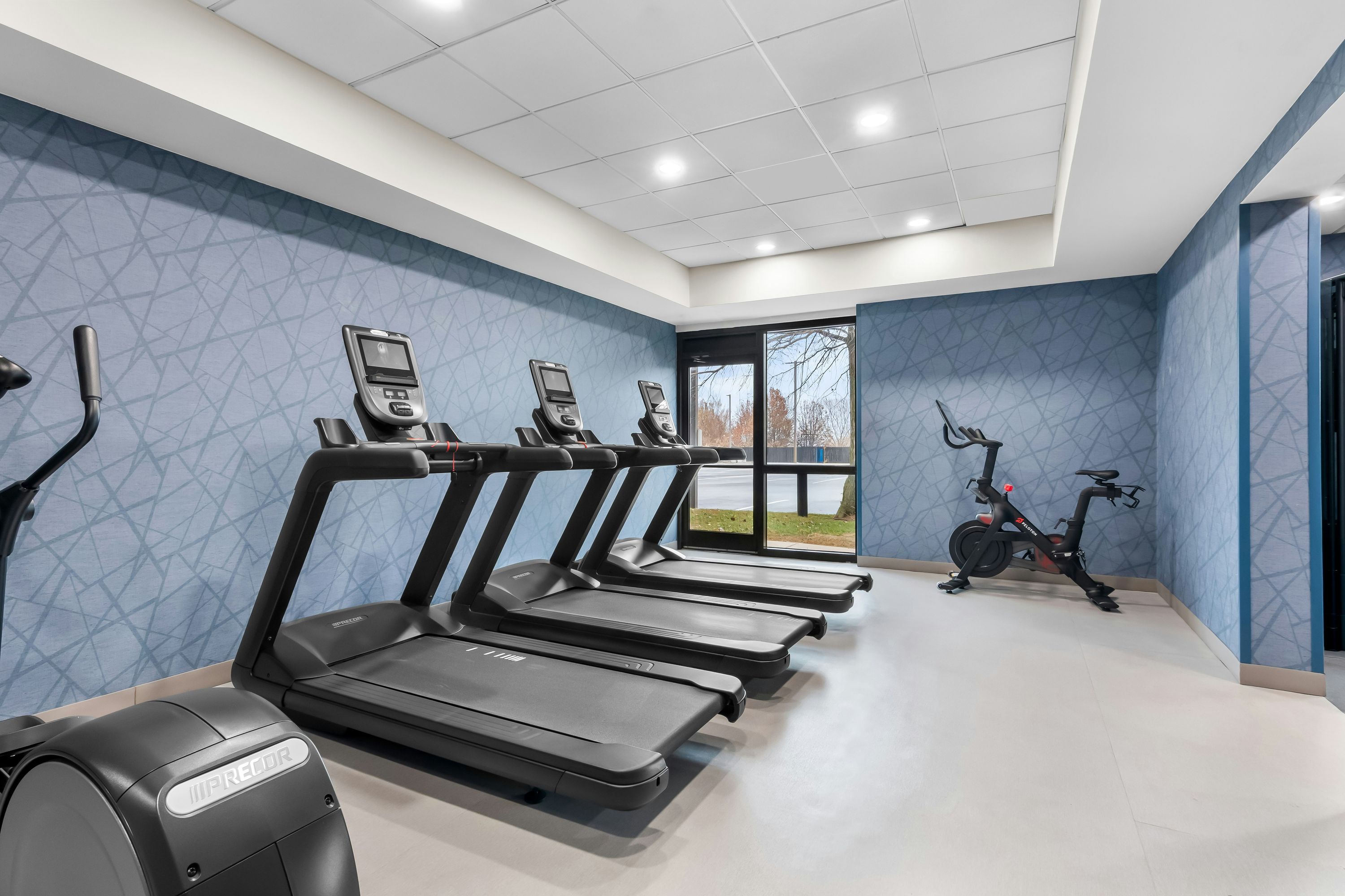 Palestra